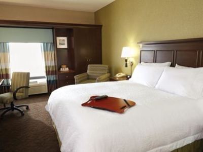 Hotel Hampton Mesa Verde/cortez Co 3*